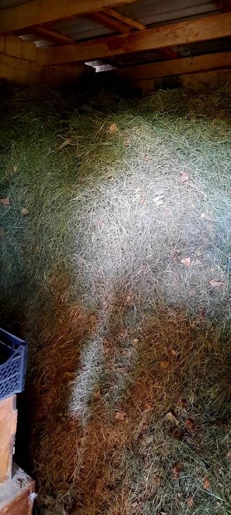 Шоп Сатылады