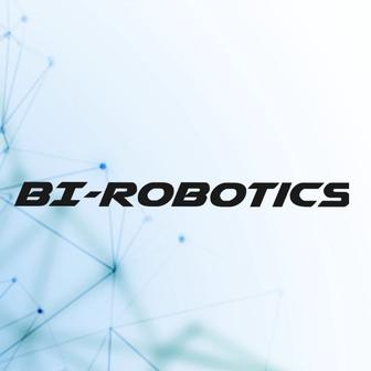 BI-Robotics IT решения для вашего бизнеса