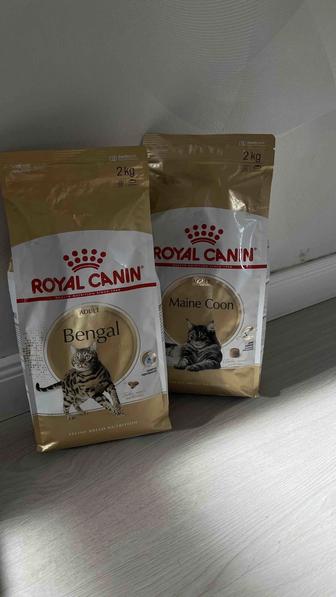 Корм для кошек Royal Canin
