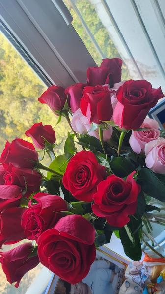 Перевод и нотариальное заверение документов