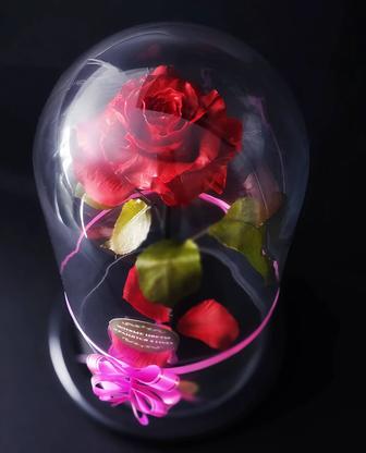 Продам долговечную розу в колбе 29 см.