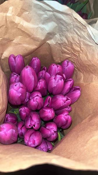 Пионовидные тюльпаны