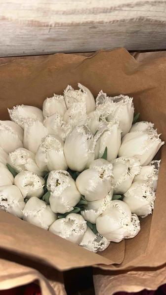 Пионовидные тюльпаны