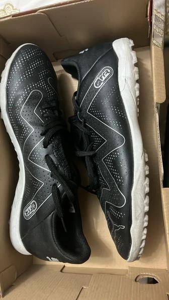 Сороконожки Puma Future Play TT