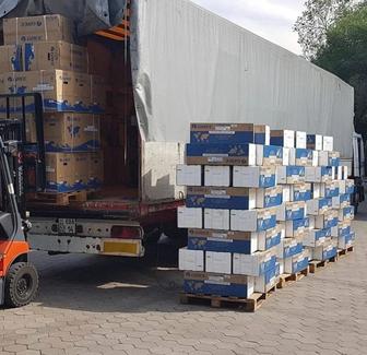 Кондиционер LG / Gree / Almacom с установкой в Алматы