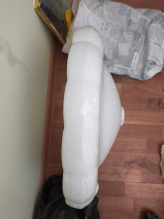 Раковина тюльпан