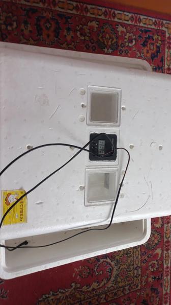 Инкубатор Несушка