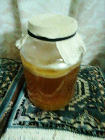 Чайный гриб