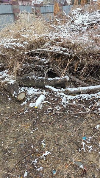 Бревна,ветки