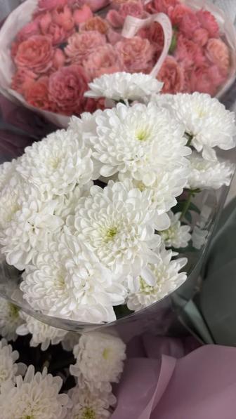 Цветы свежие