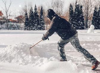 Услуги по хозяйственным и земельным работам