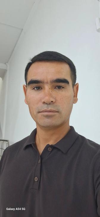 Трезвый водитель Услуги водитель