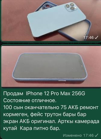 Айфон 12 промакс