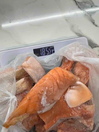 Семга обрезь