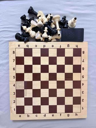 Шашки/шахматы 2-в-1