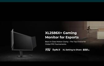 Benq zowie xl2586x 600 герц