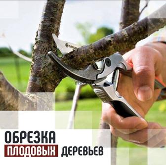 Осенняя обрезка деревьев