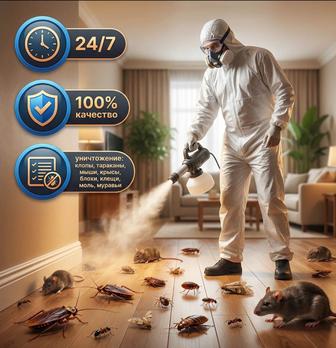 Уничтожения крыс мышей грызунов