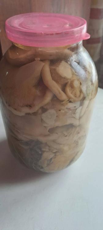 Грибы валуи