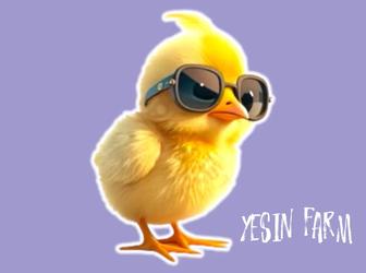 Инкубационные яйца бройлера арбор айкрес стабильный результат