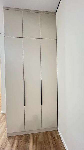 Шкаф, прихожая, детская зона