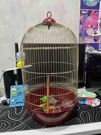 Клетка для попугая