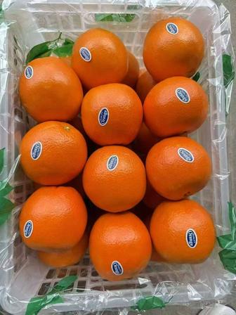 Мандарины Оптом с доставкой