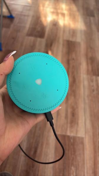 Колонка Алиса