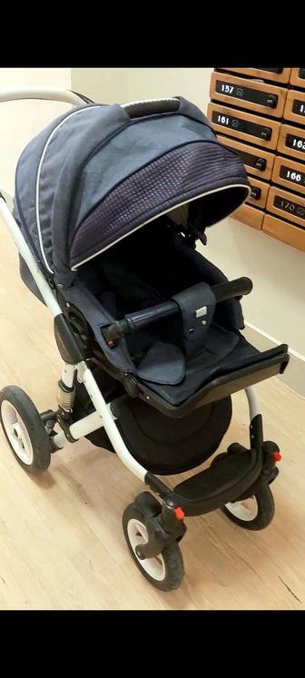 Коляска Adamex Aspena 3 в 1