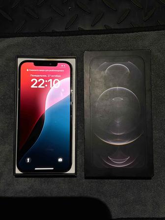 iPhone 12 Pro Max 256 Gb