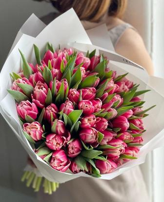 ПРЕМИАЛЬНЫЕ ТЮЛЬПАНЫ