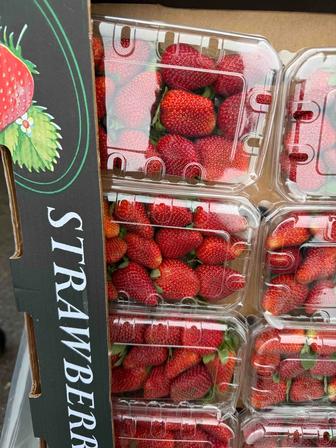 Клубника свежая