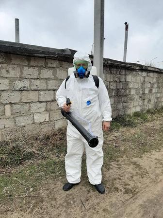 Дезинфекция