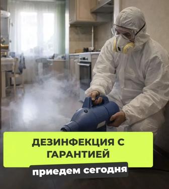 Дезинфекция 100% гарантия