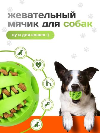 Жевательный мячик для собак и кошек, игрушка для животных