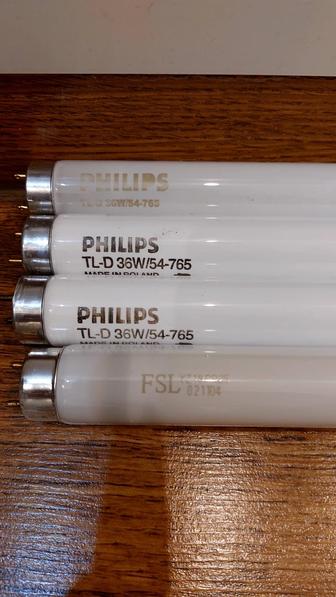 Люминесцентная лампа PHILIPS