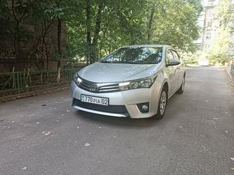 Аренда авто