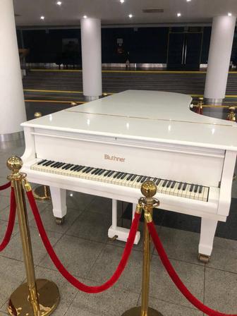 Продам Рояльбелый немецкий в отличном состоянии