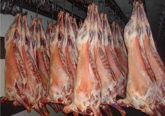 Баранина Туша