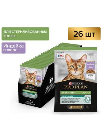 Корм для котов и кошек