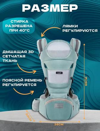 Кенгуру