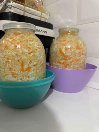 Квашеная капуста