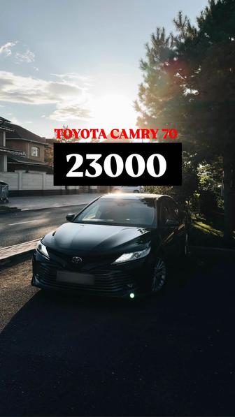 Аренда автомобилей 50% скидка