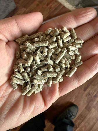 Комбикорм для овец