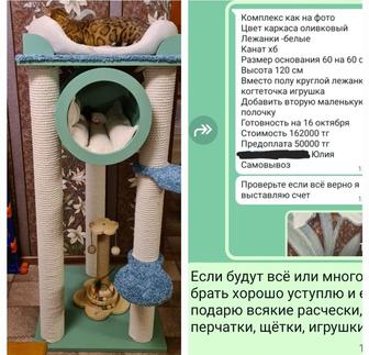 Все что нужно для кошек