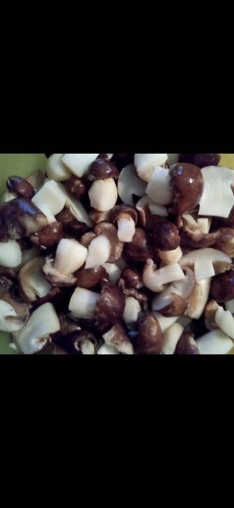 Грибы бочковые