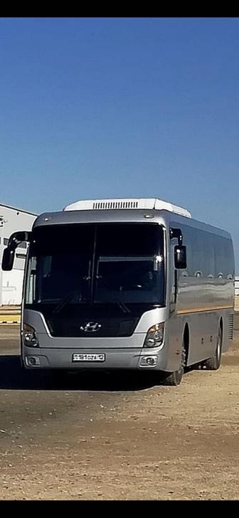 Аренда автобусов