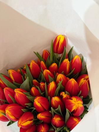 Тюльпаны к 8 марта