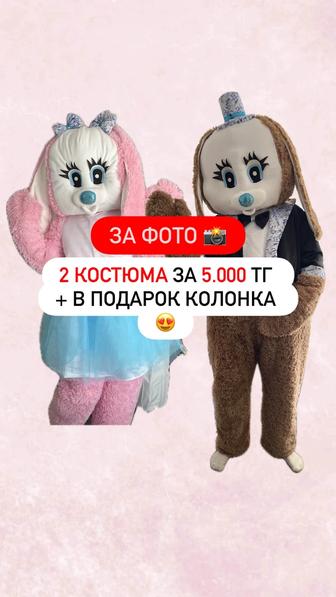 Мишки Тедди / зайки в аренду. Костюмы ростовых кукол на прокат