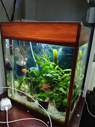 Аквариум и рыбы